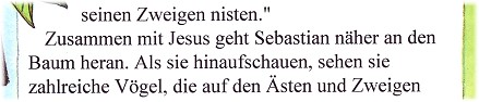 Kinderbibel Seite 20 - Das Geheimnis vom Senfkorn